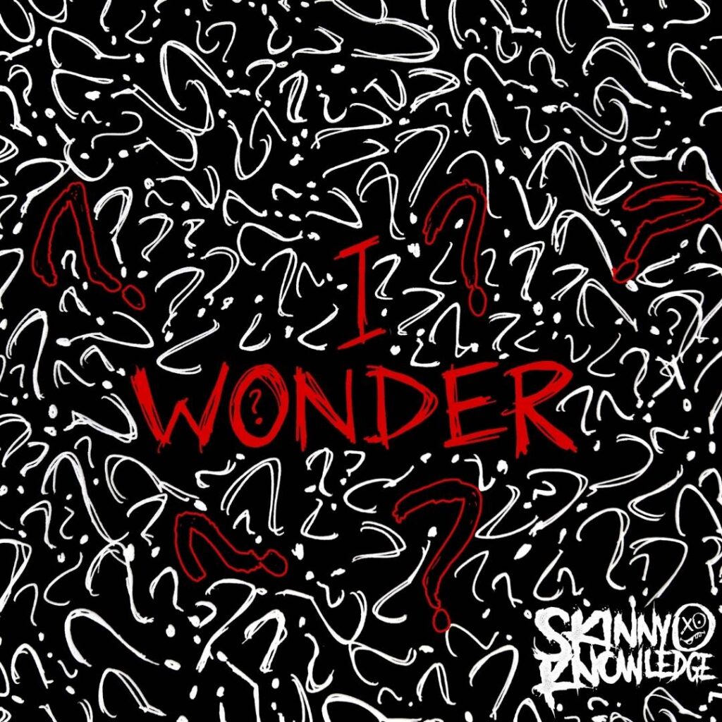 I Wonder - Skinny Knowledge