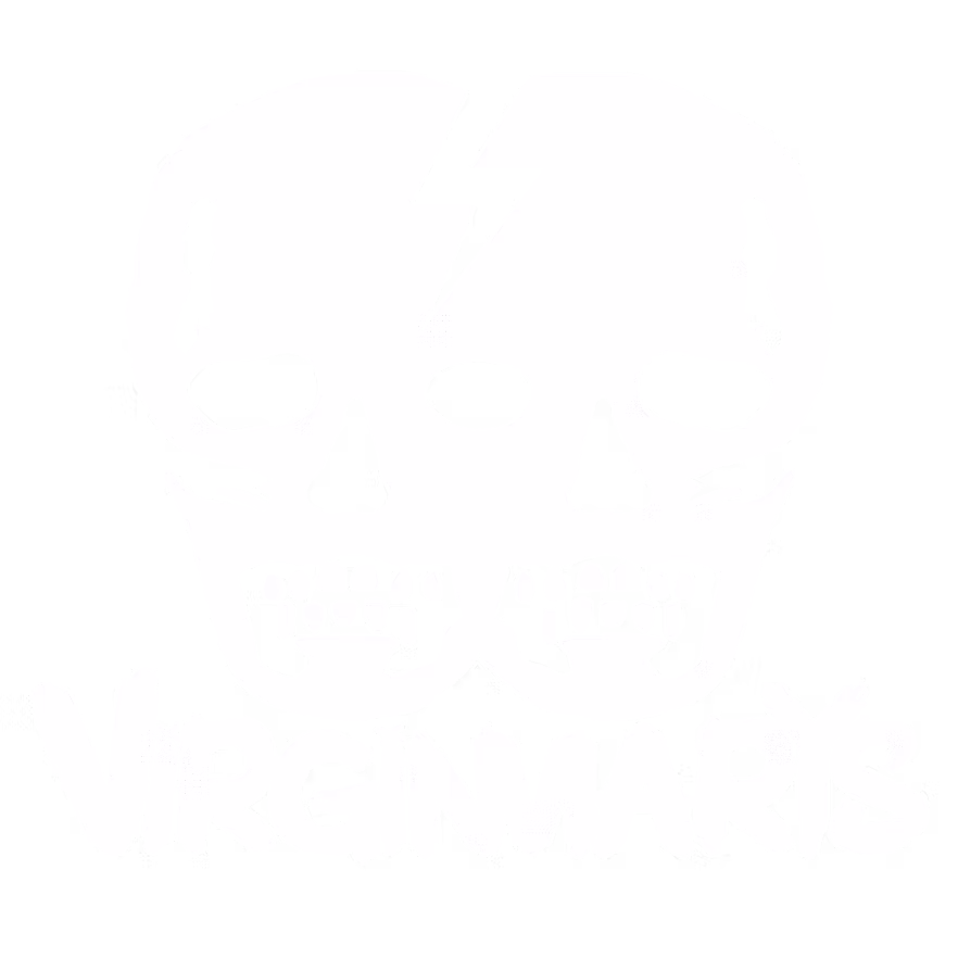 The Virginmarys logo